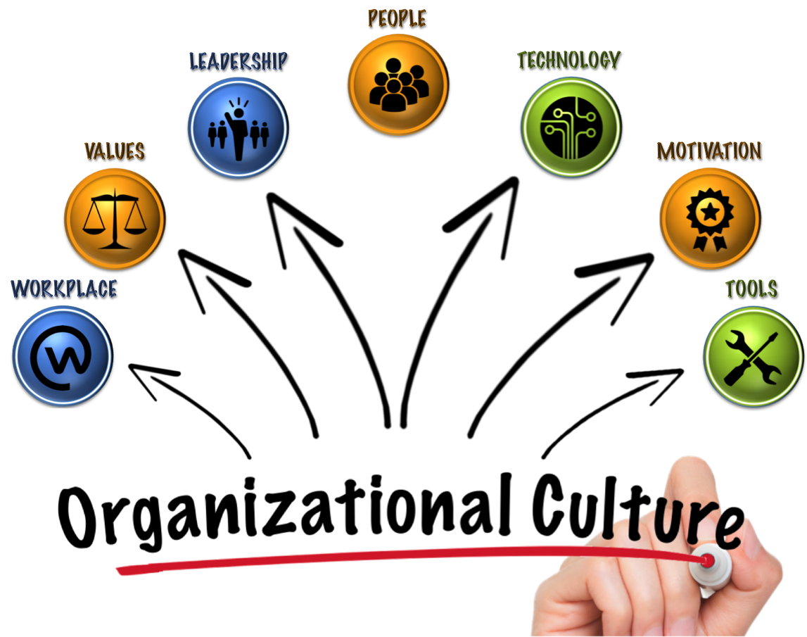 ثقافة المنظمة IDE-02